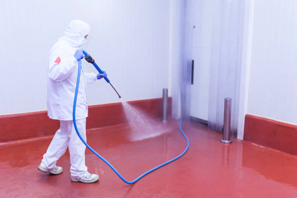 Best Rust Removal  in Indian Springs, GA